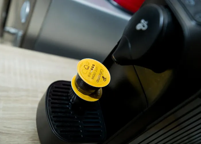 My Place In 7 Nights Minimum